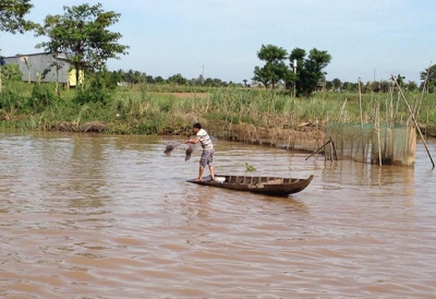 Đồng Tháp: Đánh bắt thủy sản mùa cá ra