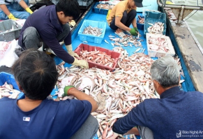 Trúng đậm 