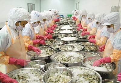Sản xuất nhỏ lẻ 