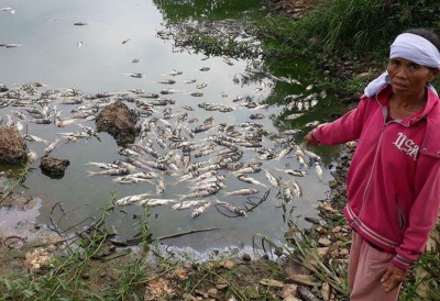Đồng Nai: 13 tấn cá chết vì công an xã ra quyết định lộng quyền