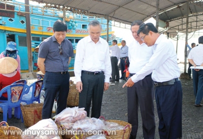 Bến Tre: Phát triển nghề cá bền vững