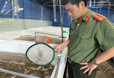 9/9 cơ sở sản xuất tôm giống sai phạm tại Cần Thơ