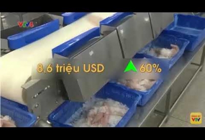 Nhật Bản dẫn đầu nhập khẩu thủy sản Việt Nam trong 4 tháng đầu năm