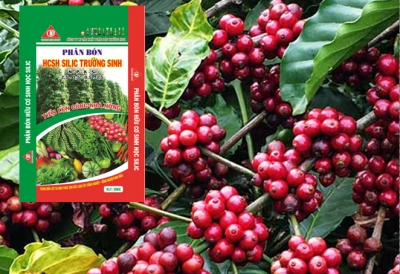 Những lưu ý trong lựa chọn, bảo quản và sử dụng phân bón