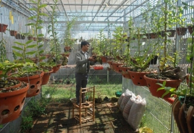 Khởi nghiệp với lan rừng