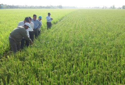 Từ ngày 26/3 - 6/4, các cửa sông có thể tranh thủ lấy nước ngọt