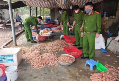 Mua tôm chết sơ chế thành tôm nõn bán cho khách