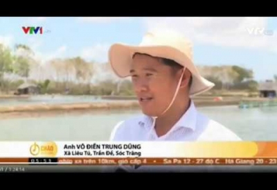 Khó khăn và giải pháp cho người nuôi tôm mùa dịch Corona
