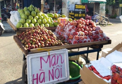 Trái cây miền Bắc giảm giá mạnh khi vào Nam