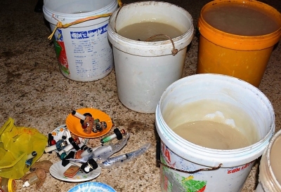 Bơm tạp chất vào tôm, một thương lái bị phạt 60 triệu đồng