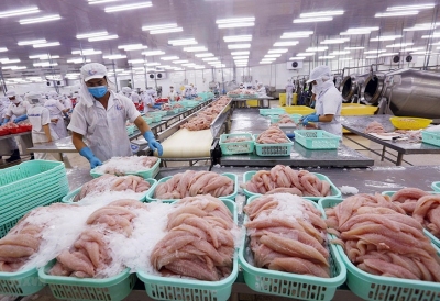 Xuất khẩu thủy sản năm tới kỳ vọng tăng 10%