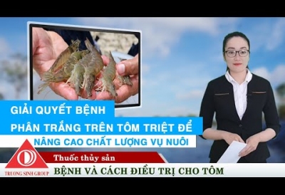 HƯỚNG DẪN ĐIỀU TRỊ BỆNH PHÂN TRẮNG HIỆU QUẢ