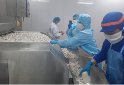 Hiện đại hóa chế biến thủy sản, sẵn sàng chinh phục thị trường xuất khẩu