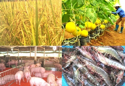 Xuất khẩu thủy sản đạt 900 triệu USD trong tháng 5/2023