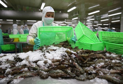 Tháng 6/2023: Tia hy vọng cho xuất khẩu tôm Việt Nam