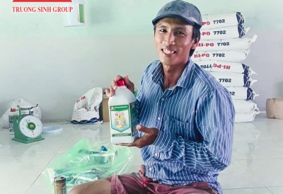 Phòng tránh Hội chứng Taura trên TTCT