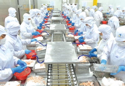 Xuất khẩu tôm: Cơ hội sẽ trở lại