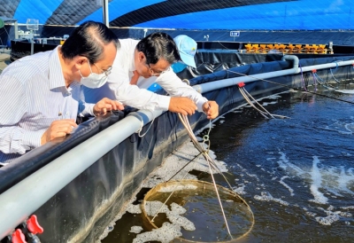PHỤC HỒI NUÔI TRỒNG THỦY SẢN, TẠO ĐÀ XUẤT KHẨU NHỮNG THÁNG CUỐI NĂM