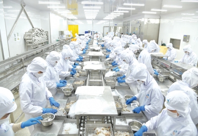 Xuất khẩu tôm: Phát triển theo quỹ đạo thị trường