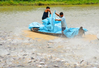 NẮM BẮT CƠ HỘI MỚI CHO XUẤT KHẨU THỦY SẢN