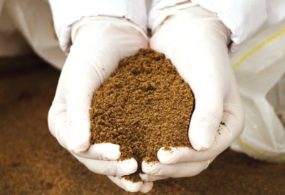 3 LỢI ÍCH DINH DƯỠNG CỦA RUỒI LÍNH ĐEN