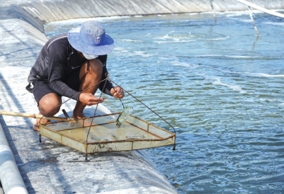 Hệ lụy lớn từ thiếu kiểm soát
