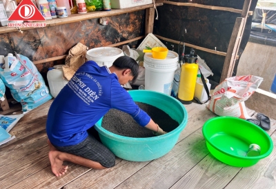 Bổ sung Magie cho tôm