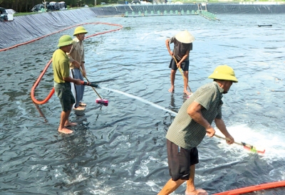 Phòng Bệnh Ký Sinh Trùng Trên Tôm