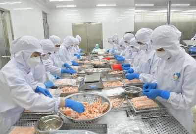 Lạc quan xuất khẩu đầu năm