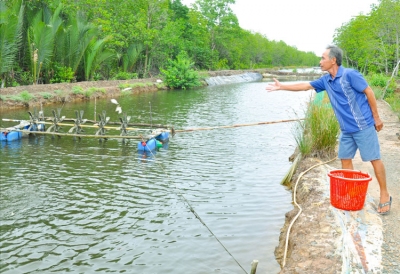 Trà Vinh: Khai thác thế mạnh nuôi trồng thủy sản tại địa phương