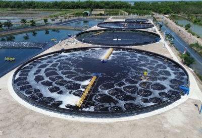 Áp lực từ tiêu chuẩn 