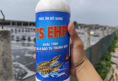 Giải Pháp Phòng Và Hỗ Trợ Điều Trị EHP của Trường Sinh Group