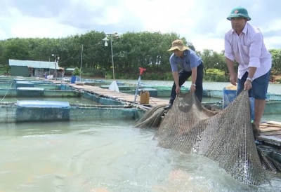 XUẤT KHẨU THỦY SẢN ĐỐI MẶT NHIỀU RỦI RO NGAY TỪ ĐẦU NĂM 2026