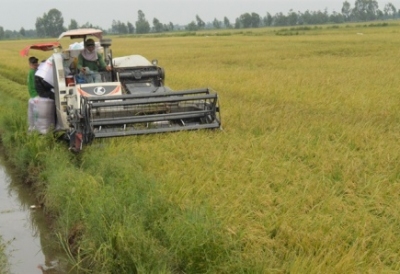Sản xuất lúa thời công nghệ số