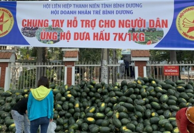 GIA LAI GIẢI CỨU HƠN 3000 TẤN DƯA HẤU