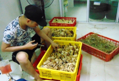 Bắc Giang: Tăng cường công tác phòng chống dịch cúm gia cầm