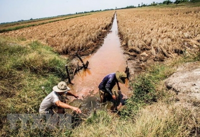 Xâm nhập mặn gay gắt trong nửa đầu tháng 3