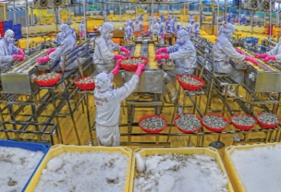 Doanh nghiệp thủy sản lo thiếu lao động