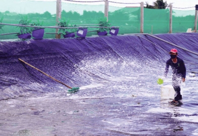 Quy chuẩn kỹ thuật quốc gia về Sản phẩm xử lý môi trường nuôi trồng thủy sản: Hỗn hợp khoáng (premix khoáng), hỗn hợp vitamin (premix vitamin) và hỗn hợp khoáng - vitamin