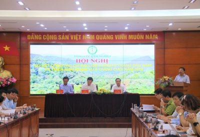 Lâm nghiệp khẳng định là ngành kinh tế trách nhiệm và hội nhập