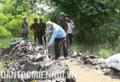 Canh tác lúa và cây ăn quả khi đất hạn, mặn