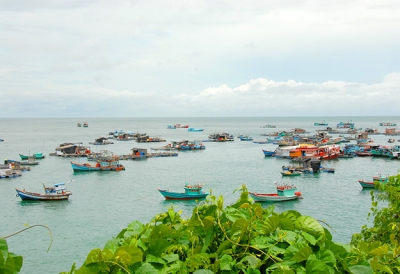 Khá giả nhờ nuôi cá bớp biển