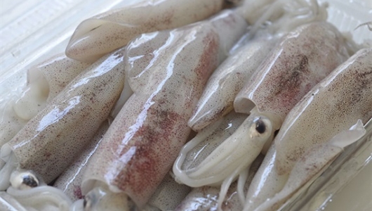 Hơn 600 doanh nghiệp được phép xuất khẩu thủy sản sang Đài Loan