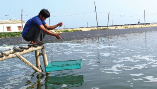 Phòng bệnh vi bào tử trùng