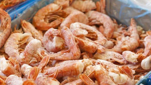 Nhiều lô hàng tôm bị từ chối nhập khẩu vào Mỹ