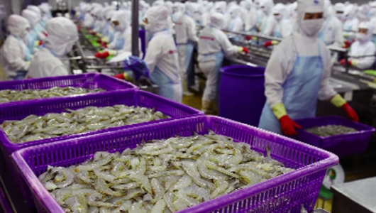 Tháo gỡ vướng mắc hàng xuất khẩu đi châu Âu