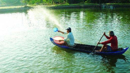 Chăm sóc tôm mùa lạnh