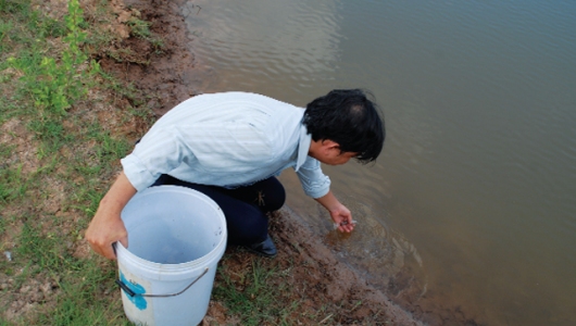 Phòng, chống dịch bệnh trên thủy sản