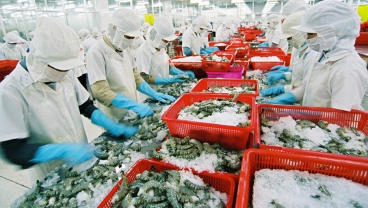 Xuất khẩu tôm, cá tra 