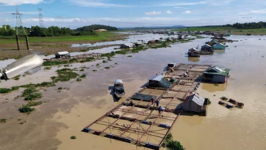 Xử lý tình hình cá chết trên sông La Ngà